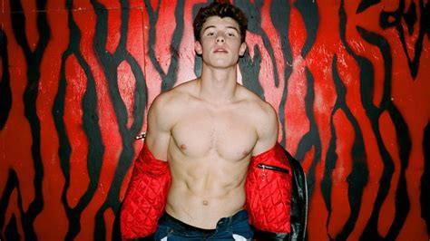 May 9, 2019 · Shawn Mendes' Dick Just Broke Gay Twitter. For those of you who don’t know, Calvin Klein released yet another one of its star-studded underwear ads yesterday. It’s all about ‘speaking your truth’ which gay Twitter had no problem doing after Shawn Mendes stripped down to his undies to reveal his. Here are the ads: 